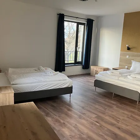 Hotel Ludwig Martonvasar