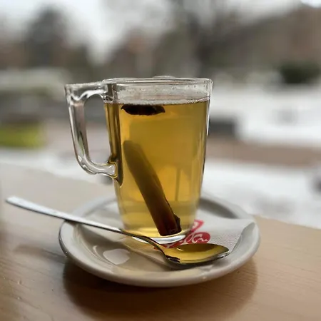 Ludwig Hotel Martonvasar