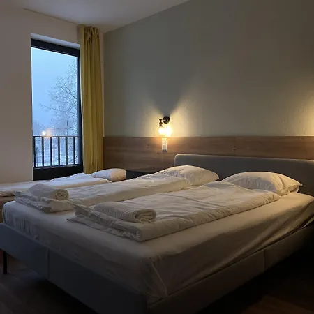 Hotel Ludwig Martonvasar