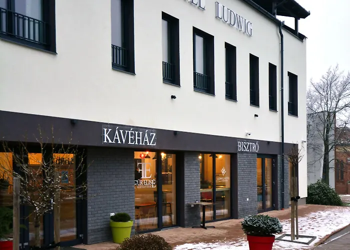 Ludwig Hotell 3*